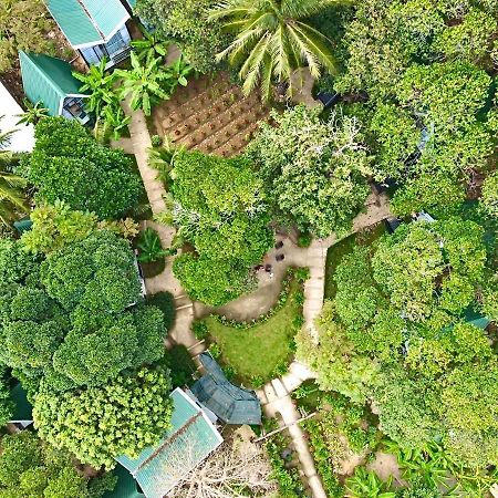Homestay De La Rosa - Con Dao Chi Khu Co Ong Esterno foto