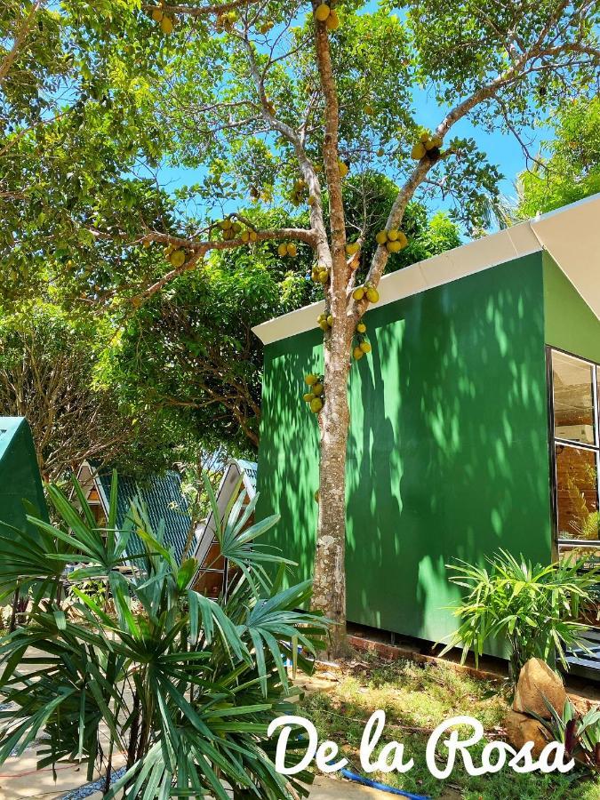 Homestay De La Rosa - Con Dao Chi Khu Co Ong Esterno foto